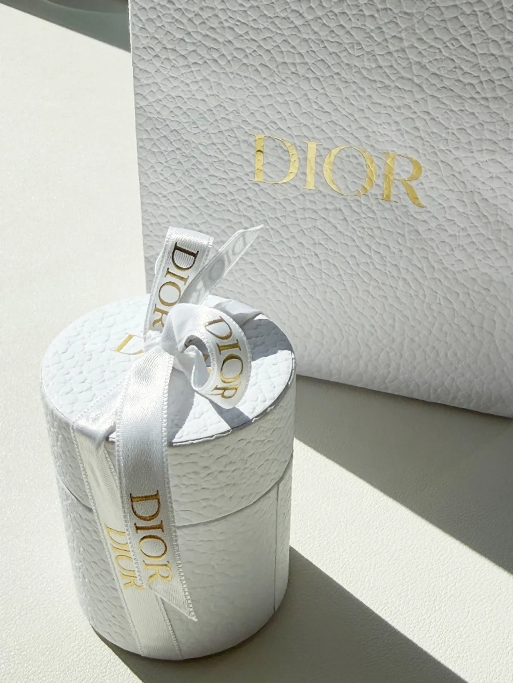 Dior ABCDior Hiver Mitzah Silk Twill Scarf